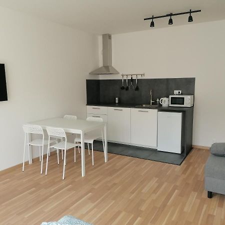 פראג Brand New Studio Apartment #21 With Free Secure Parking In The Center מראה חיצוני תמונה