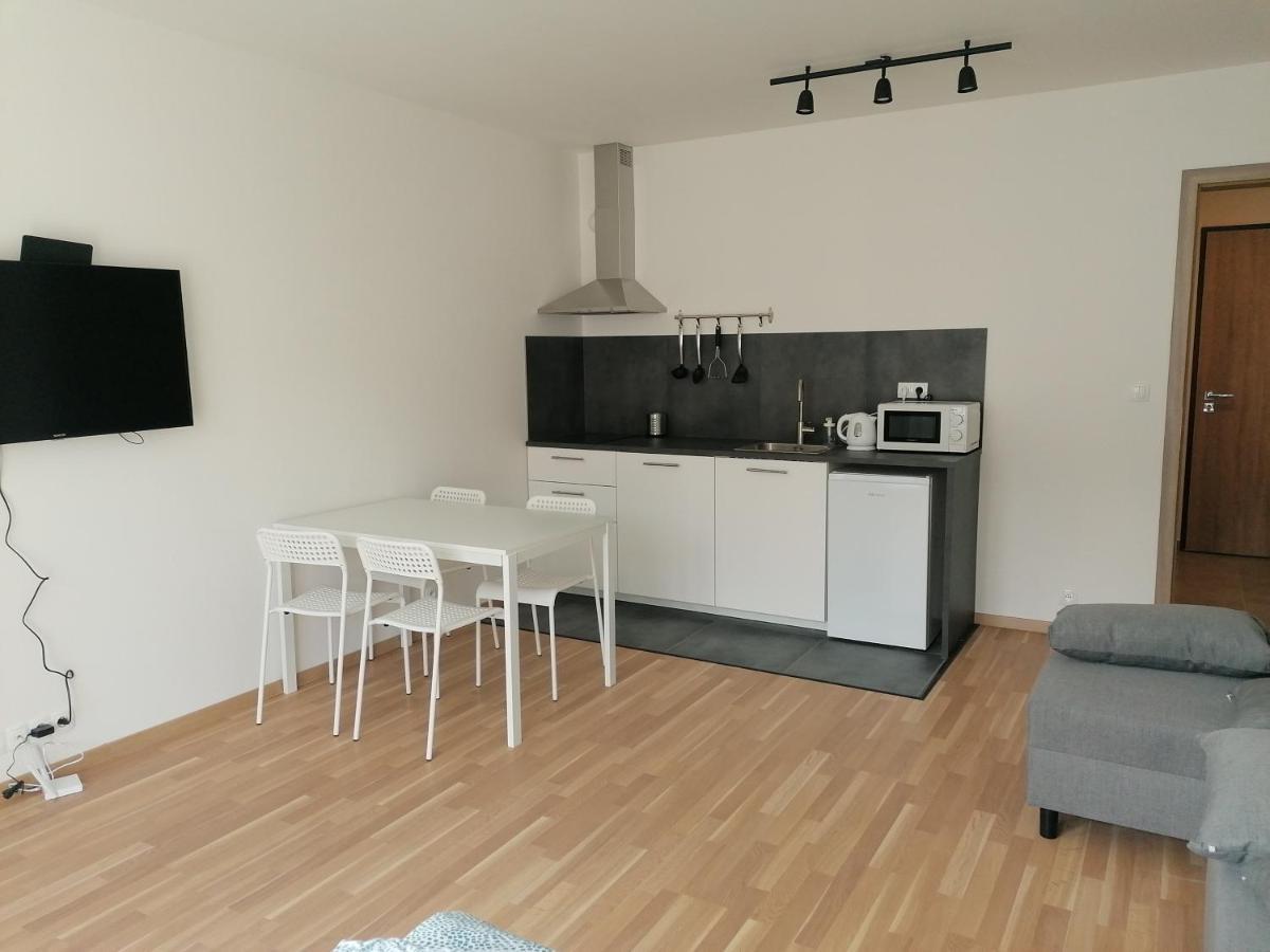 פראג Brand New Studio Apartment #21 With Free Secure Parking In The Center מראה חיצוני תמונה