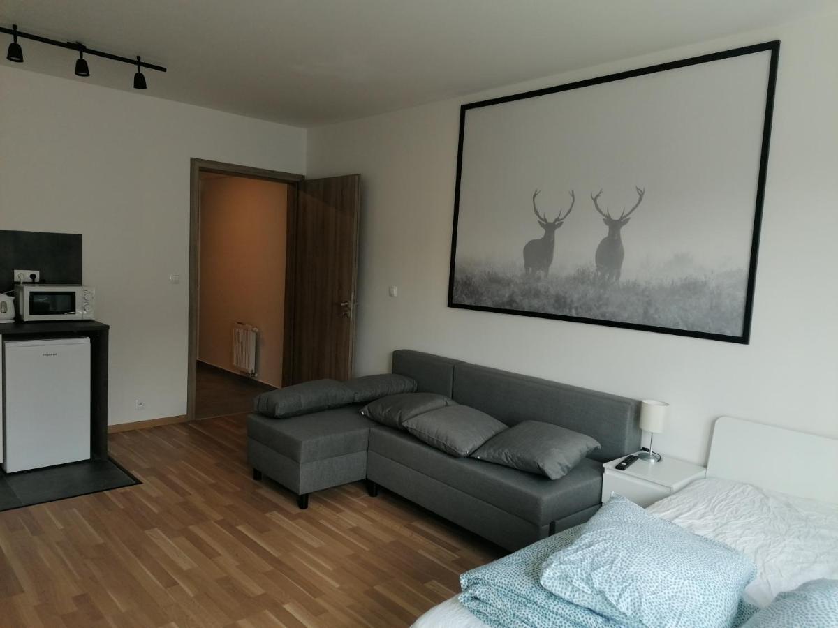פראג Brand New Studio Apartment #21 With Free Secure Parking In The Center מראה חיצוני תמונה